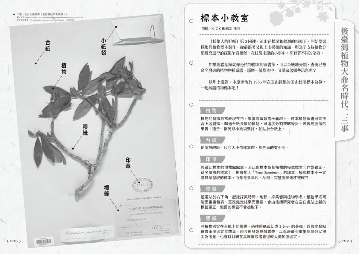 20251126213345 0 0ba47e